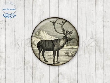 Motiv-Cabochons 49098-1 Einzelset  